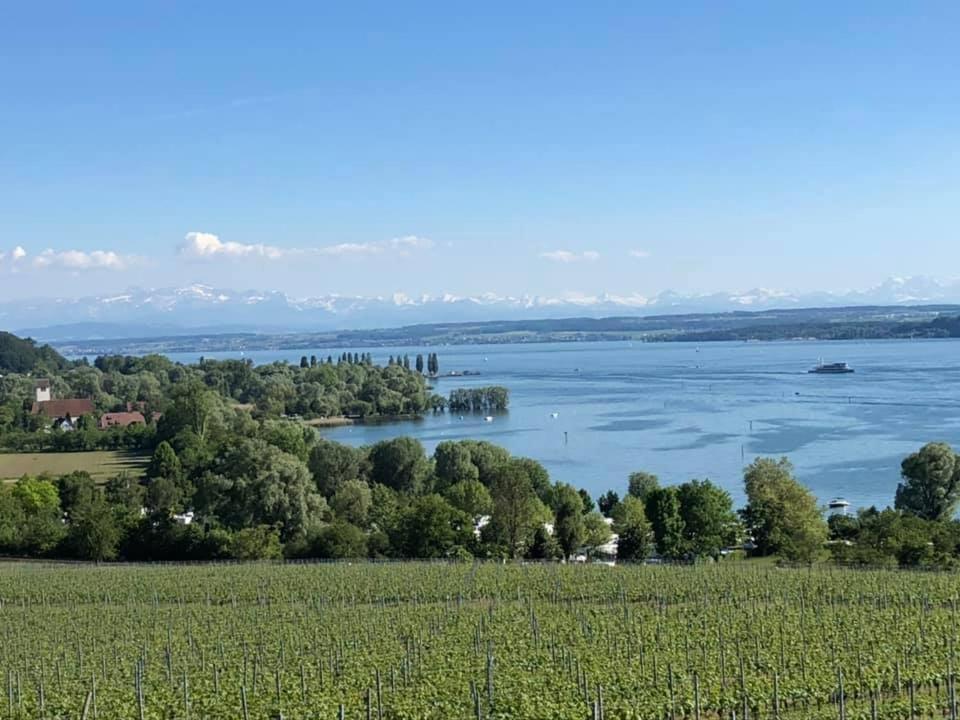 Ferienwohnung "Maisonette Unter Der Burg" Meersburg Buitenkant foto